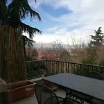 Nel Centro Di Un'oasi Verde Daire