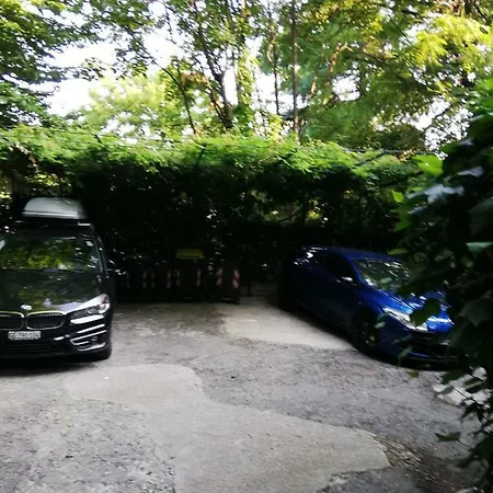 Nel Centro Di Un'oasi Verde