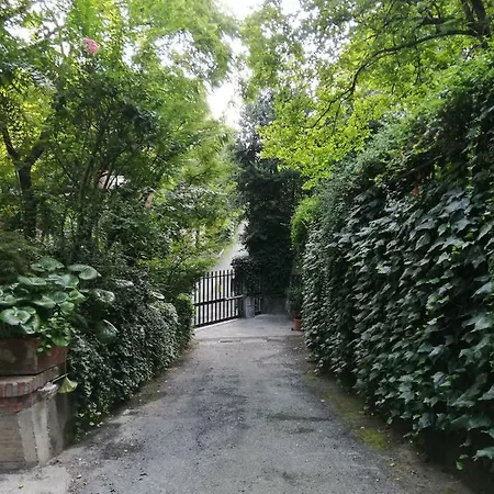 Nel Centro Di Un'oasi Verde