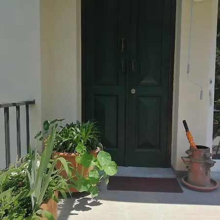 Nel Centro Di Un'oasi Verde *