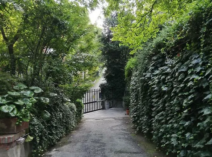 Nel Centro Di Un'oasi Verde