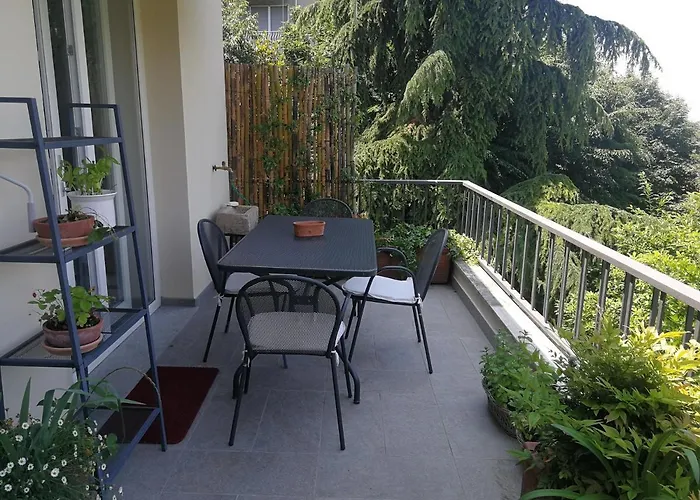 Nel Centro Di Un'oasi Verde *