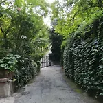 Nel Centro Di Un'oasi Verde