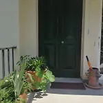Nel Centro Di Un'oasi Verde *