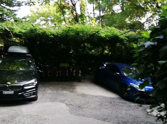 Nel Centro Di Un'oasi Verde